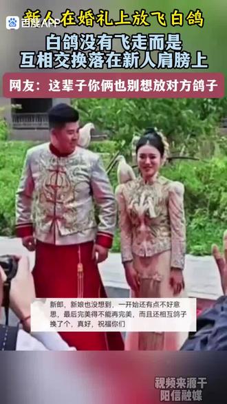 新人在婚礼上放飞白鸽,白鸽没有飞走而是互相交换落在新人肩膀上,网友:这辈子你俩也别想放对方鸽子