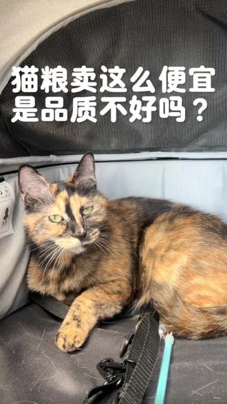 猫粮卖这么便宜,是品质不好吗?#流离岛 #主食猫粮 #猫咪 #领养代替购买绝育替代捕杀 #流离岛猫粮