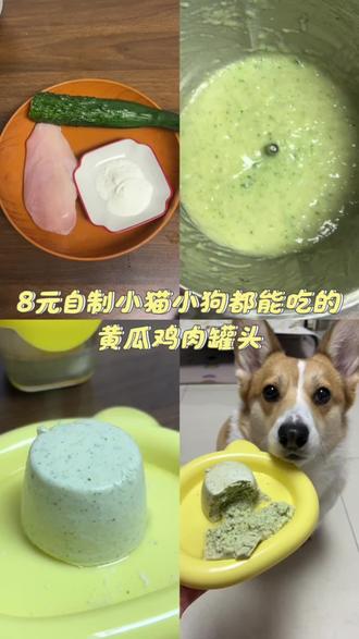 30秒教你在家给小猫小狗自制黄瓜鸡肉罐头,补水还清新口气,简单好做有手就会#自制狗饭 #宠物罐头 #自制宠物零食 #柯基 #狗零食