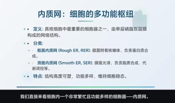 人教版生物学必修一《内质网》
#生物学 #每天学习一点点