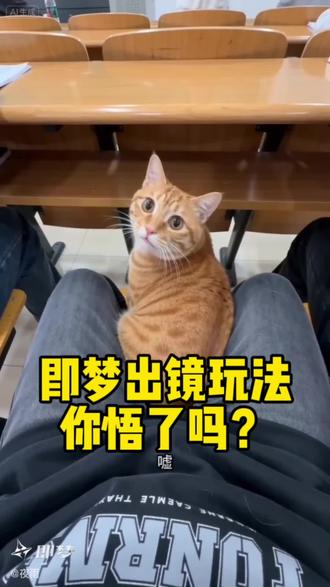 即梦出镜玩法你悟了吗?猫咪出勤点名手把手教会你,即梦出镜教程来了#即梦AI #AI分身戏精大赛 #我的AI分身杀疯了#猫咪的迷惑行为