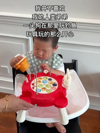 我不喜欢我的人类弟弟,一头狗在那里玩玩具玩的那么开心#宝宝 #益智玩具 #儿童玩具 #宝宝玩具 #钓鱼玩具