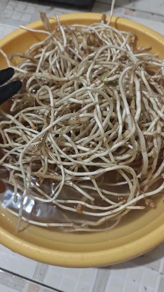 贡布堂夜市开摊啦 今天又是充实的一天#每日现做美食 #真实材料制作美食