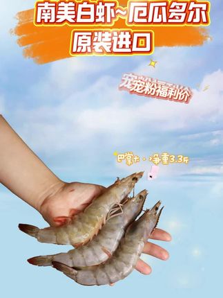 厄瓜多尔大虾#大虾 原装进口,盐冻锁鲜,个头超大,肉质Q弹#油焖大虾 #海鲜 #好物推荐🔥 #海鲜美食