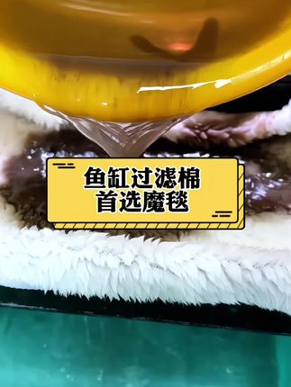 鱼缸过滤棉首选加厚加密魔毯,能高效拦截杂质,能反复清洗使用#魔毯魔袋 #鱼缸过滤棉 #空气缸 #养鱼日记