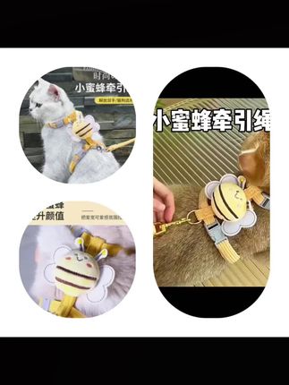 猫咪小蜜蜂牵引绳防挣脱外出宠物兔子背心遛猫溜小猫链子猫绳子#猫咪牵引绳 #牵引绳 #宠物牵引绳
