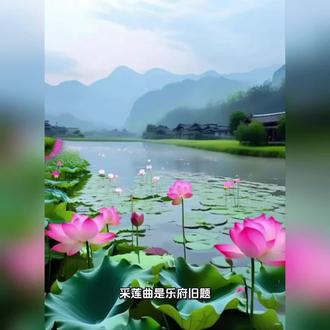 《采莲曲》人景交融,动静相生,青春如歌#诗词 #风景 #情感 #每日分享 #修心修行