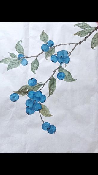 生活就像蓝莓一样,酸酸甜甜,愿你守住热爱,便是清欢。#没骨画 #零基础国画 #每日一画