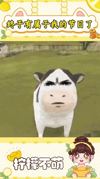 是受什么刺激了吗,怎么会想出来这个节日#情人节 #搞笑 #抽象