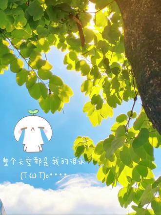 整个天空都是我的泪水…߹ ˄ ߹#长草颜团子