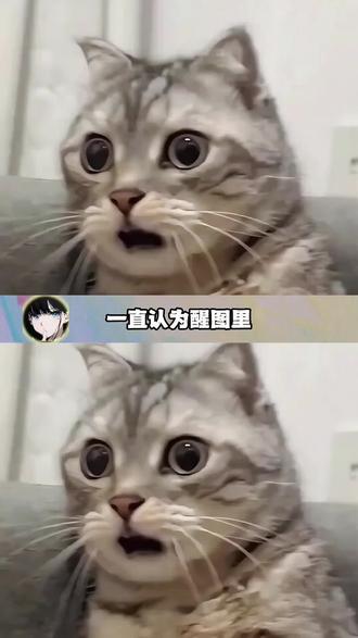邪修涂鸦笔魔法🪄 #醒图焚决的神#醒门永存#人类对醒图的开发不足百分之一