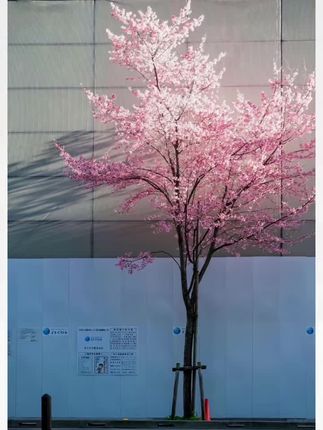 欧洲站2025春季新款欧货甜美刺绣花边圆领泡泡袖荷叶边套头小衫女#春秋新款#修身显瘦#时尚百搭#洋气减龄#面料柔软舒适 @DOU+小助手