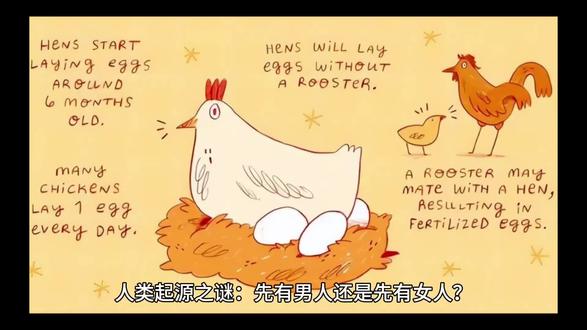 男人和女人谁先诞生?