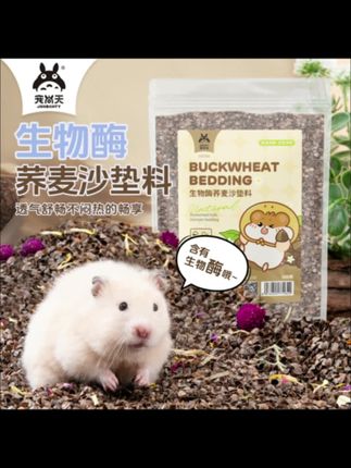 夏天垫料选荞麦沙饿理由 #仓鼠 #仓鼠宝宝 #仓鼠日常 #仓鼠垫料 #金丝熊