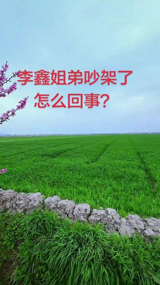 #李鑫 #李鑫姐姐 姐弟两个吵架了,怎么回事?