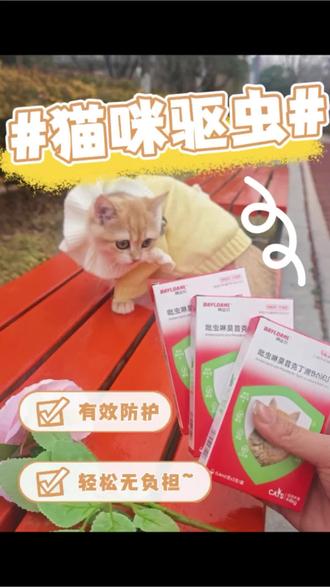 驱虫真不是越贵越好#拜达尔#拜达尔驱虫#猫咪#一般人不告诉他