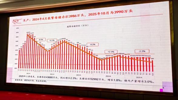 2025年末,全国能繁母猪存栏3961万头,减少116万头,下降2.9%,目前为正常保有量的101.6%。#能繁母猪 #养猪#抖音助农#养猪人必看