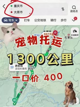 宠物托运日常~顺丰宠必达app,宠物快递,哪家宠物托运靠谱,宠物托运安全保障,哈啰宠物顺风车,宠物托运100元左右全国宠物托运, 12306宠物托运,12306宠物托运价目表,顺丰宠必达,宠物托运飞机,汽车托运,顺丰宠物托运价目表,宠物托运上门服务,宠物托运接单平台,宠物空运价格,猫咪托运,宠物托运哪个平台好,高铁托运宠物,全国宠物托运150块,宠物托运,宠物托运一般多少钱,宠物托运价格是多少,顺丰宠物托运24小时在线咨询,宠哒哒宠物托运价格表,宠哒哒托运app,宠物托运顺丰宠必达,活体宠物怎么运输#宠物托运#宠物进客舱#猫猫托运#vlog十亿流量扶持计划 #宠物托运顺丰宠必达