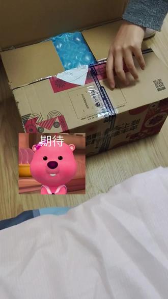 属于我们的四巡回忆💛💛💛#鹿晗 #鹿晗四巡纪念册 #鹿晗纪念册开箱 #鹿晗穿越四季来见你 #鹿晗芦苇天下第一好