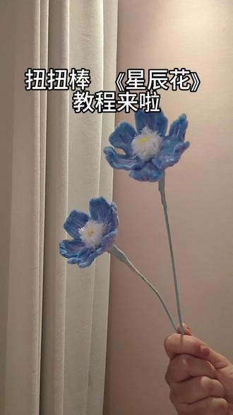 把星光揉成花朵,愿年年岁岁,初心不变,都能做更好的自己#扭扭棒星辰花 #治愈手工 #指尖浪漫