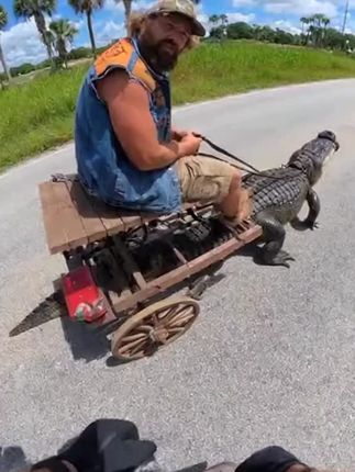 #机车 #危险动作请勿模仿 #原创视频 #骑行日常 #卡车卡车