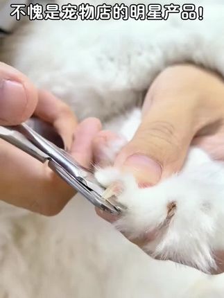 这是几个月没剪指甲了!沉静式狗狗剪指甲体验,真的也是一种享受,狗子很乖哦#狗狗剪指甲#宠物指甲钳#宠物护理 #萌宠好物 #指甲钳
