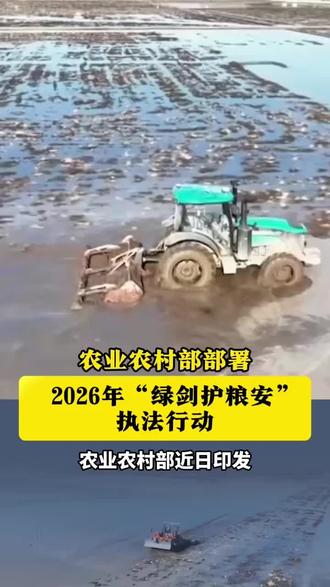 绿剑护粮安#民生 #三农 #农业 #三农流量扶持计划 #三农服务