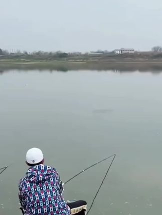 #好物推荐 #超便宜超划算 #钓鱼装备 #钓鱼 #便宜好物