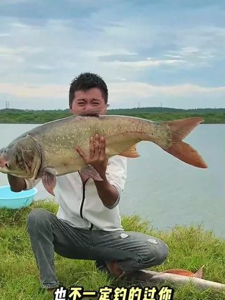 地氏钓鱼窝料发酵豆腐渣浮钓鲢鳙饵料垂钓发酵大头鱼花鲢酸臭打饵#钓鱼窝料#鲢鳙饵料#饵料推荐
