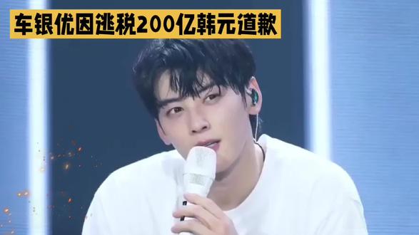 车银优因逃税200亿韩元道歉