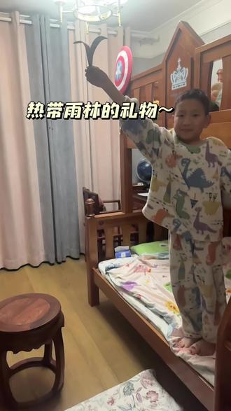 望天树,会飞的种子,来自热带雨林的礼物~#植物妈妈有办法