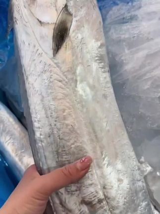 #野生鱼 #快来一起尝个鲜 #海鲜水产 #海鲜美食 #带鱼