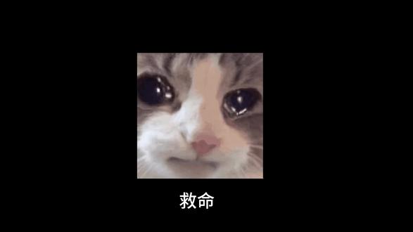 风来了,我慢慢走。#香溢人间#香溢人间小女孩#原创歌曲#留守儿童 愿小小的你平安健康。