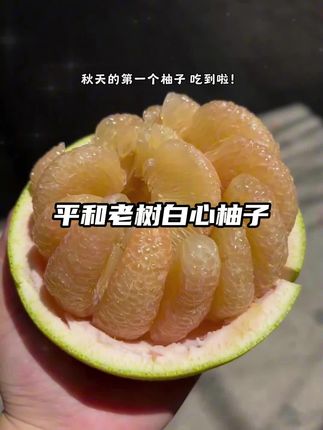 没有“虾线”的柚子我也吃到啦! 超级好剥皮, 超级治愈!#柚子 #秋天的第一个柚子 #柚子的正确剥法 #新鲜应季水果#脆甜多汁