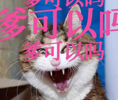 给你第一个想到的好朋友看#mimi表情包 #惊讶mi #死党 #闺蜜 #抽象艺术