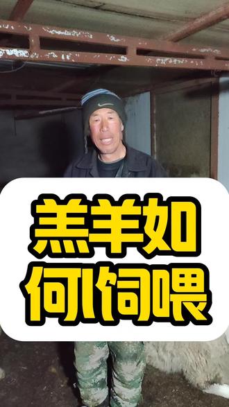 #养殖避坑 羊羔如何喂养? #牛羊养殖 #养殖避坑