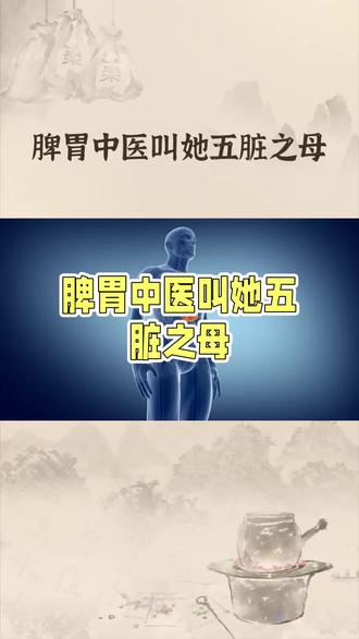 脾胃中医叫她【五脏之母】