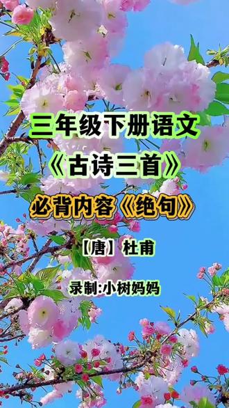 三年级下册语文必背内容,《古诗三首》之《绝句》,收藏起来给孩子学习吧!#三年级下册语文 #课文朗读 #小学语文 #语文课本