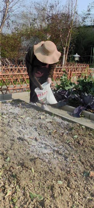 春播前千万记得先给土壤杀菌消毒,土壤好了,后期种菜病虫害减少 种菜省心菜长得更好#种菜小技巧 #种菜 #记录我的种植生活 #病虫害防治 @抖音小助手