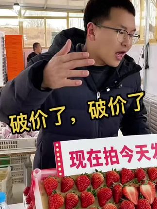 【现货秒发】丹东99草莓产地直发现摘现发九九久久红颜牛奶油顺丰包