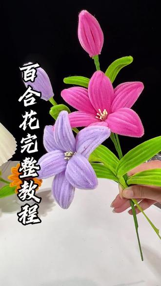 最近在玩扭扭棒,试着做了百合花,步骤其实不难~学会后看着成品,那种满意的成就感真的很治愈!#当我开始玩扭扭棒 #万物皆可扭一扭 #扭扭棒 #扭扭棒教程 #扭扭棒花束