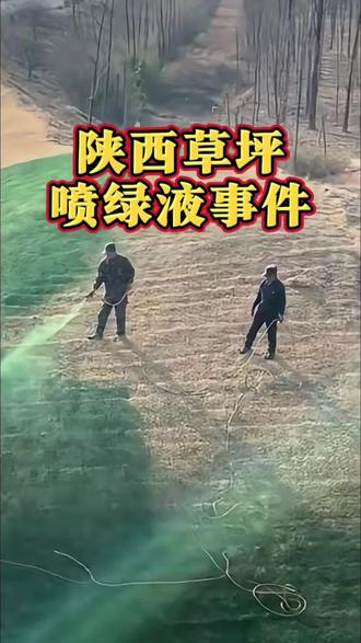 草坪喷绿液,到底是绿化还是造假?