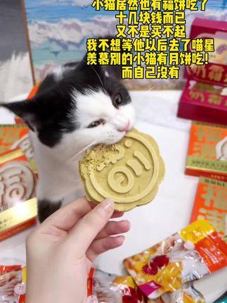 我不允许我的小猫羡慕任何猫!别人有的我的猫咪也要有#宠物月饼#宽福#萌宠好物#猫咪月饼
