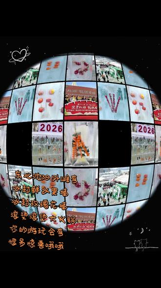 沈阳浑南外滩的冰封鲜水果墙!冰封红玫瑰花墙!欢迎您的到来哦#雕刻艺术 滩