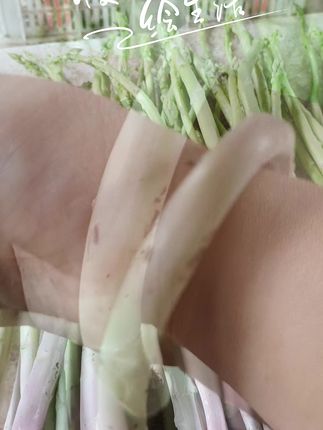 #芦笋基地发货 #芦笋 #芦笋种植 #新鲜芦笋