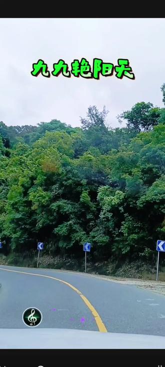 九九艳阳天,人在画中游。 #一山一路一风景 #山路弯弯美如画 #山上美景山不语风有声 #盘山公路乡间小路自然风景 #跟着导航去看风景