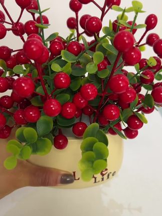 #红果 又叫发财果,放在家里不仅美观,而且还特别喜庆,寓意红红火火,幸福美满,尤其是乔迁新或者过年的摆上一盆太好看了#摆件装饰品 #发财果