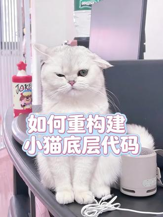 不要试图用人类逻辑去运行小猫代码
#猫咪代码 #猫咪的迷惑行为 #小猫咪能有什么坏心眼 #猫咪