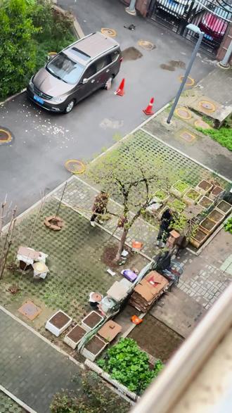 一大早就是秦人问母#凡事不要慌拍个抖音在说