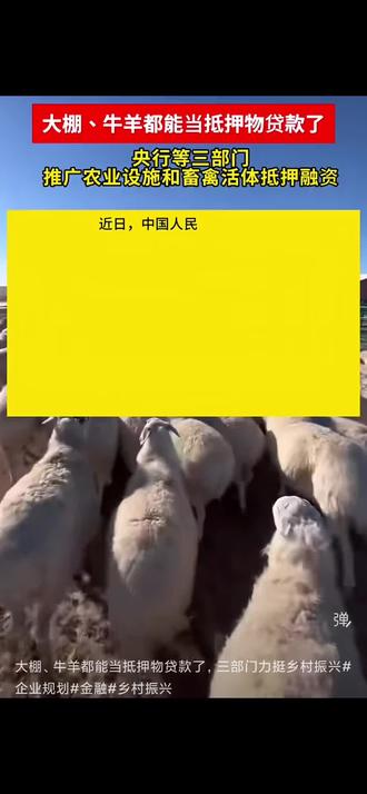 央行三部门发布,农业设施大棚与禽畜活体均可抵押贷款,原来农村“带毛”的都不能抵押贷款,站在不管是种地的还是养殖的都可以用自己的种养殖资产抵押贷款了#农业金融 #农业贷款 #大棚 #养殖 #种植